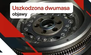 Dwumasa w samochodzie, co ile wymiana sprzęgła? Zobacz objawy uszkodzenia tej części.