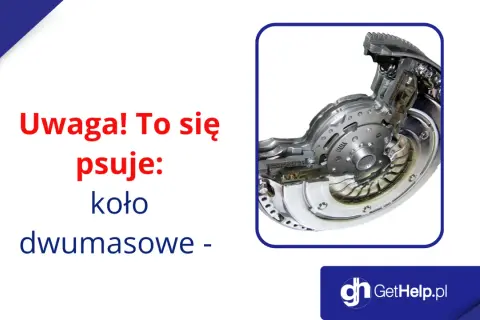Przekrój koła dwumasowego, elementu, który często ulega awarii. Dowiedz się, co to jest i dlaczego się psuje.