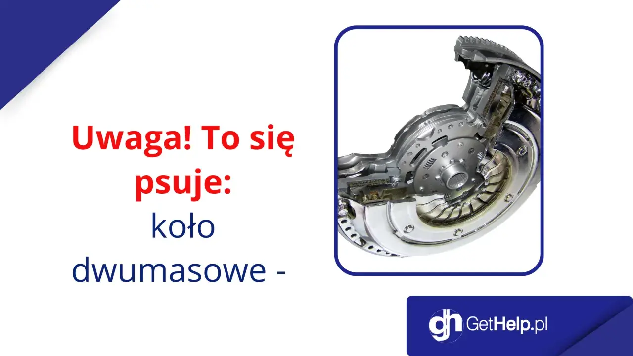 Przekrój koła dwumasowego, elementu, który często ulega awarii. Dowiedz się, co to jest i dlaczego się psuje.