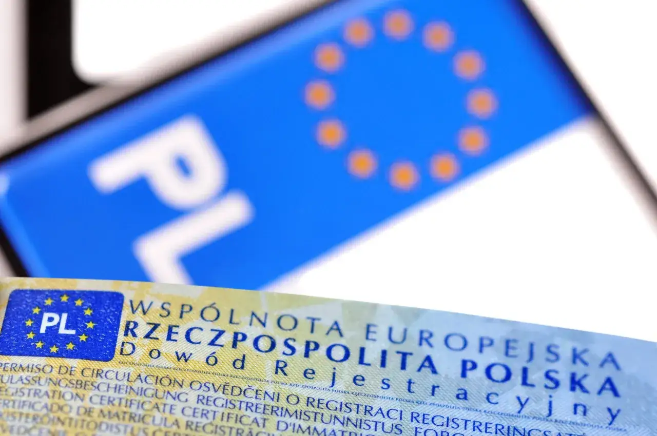 Dow&oacute;d rejestracyjny z napisem 